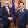 El presidente de la Asamblea Nacional de Vietnam, Vuong Dinh Hue (derecha), y el primer ministro de Australia, Anthony Albanese. (Fotografía: VNA)