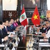 El presidente de Vietnam, Luong Cuong, sostuvo el 13 de noviembre (hora local) conversaciones con su homóloga anfitriona, Dina Ercilia Boluarte Zegarra (Fuente: VNA)