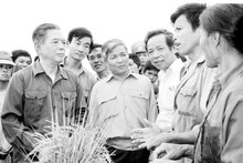 El secretario general Nguyen Van Linh visita a agricultores de la Cooperativa de Tung Phong, comuna de Tung Anh, distrito de Duc Tho, provincia de Nghe Tinh, del 23 al 27 de mayo de 1990. (Fotografía: VNA)