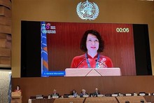 La viceministra de Salud Pública, Nguyen Thi Lien Huong, intervino en la sesión (Fotografía: VNA)