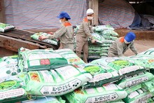 La Comisión australiana propone no imponer aranceles antidumping al nitrato de amonio de Vietnam. (Fotografía: VNA)