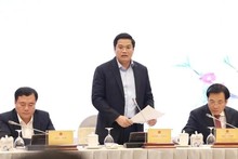 El viceministro de Planificación e Inversión de Vietnam Nguyen Duc Tam. (Fotografía: VNA)