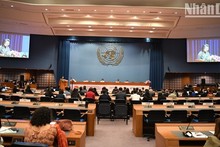 Panorama de la reunión. (Fotografía: Nhan Dan)