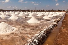 Una salina en la provincia de Bac Lieu. (Fotografía: nld.com.vn)
