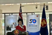 La embajadora Ton Thi Ngoc Huong, representante permanente de Vietnam ante la Asean, habla en la ceremonia de apertura de la exposición fotográfica. (Fotografía: VNA)