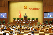 Panorama de la sesión. (Fotografía: VNA)