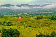 Efectuarán en Quang Ninh Semana Cultural y Festival de la Temporada Dorada 2023.
