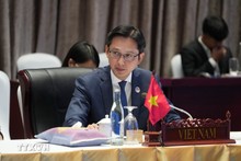 El viceministro de Relaciones Exteriores de Vietnam, Do Hung Viet (Foto: VNA)