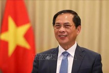 El viceprimer ministro y canciller vietnamita, Bui Thanh Son. (Foto: VNA)