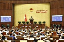 Panorama de la reunión. (Foto: VNA)