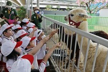 Zoológico único en la tierra soleada y ventosa de Ninh Thuan