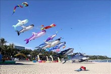 Mui Ne es un destino favorito de los turistas rusos. (Foto: VNA)