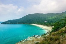 Islote Cu Lao Cham. (Foto: VNA)