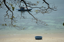 Belleza salvaje de la isla de Son Cha en Da Nang con gran potencial para el ecoturismo