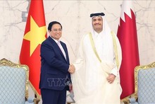 El primer ministro vietnamita, Pham Minh Chinh, y su homólogo catarí, Sheikh Mohamed bin Abdurahman Al Thani. (Foto: VNA)