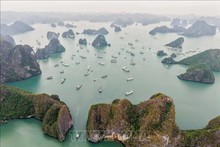 Bahía de Ha Long. (Foto: VNA)