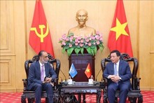 Nguyen Xuan Thang, presidente de la Academia Nacional de Política Ho Chi Minhy el subsecretario general de la Organización de las Naciones Unidas para tecnologías digitales y emergentes y enviado del Secretario General de la ONU sobre tecnología, Amandeep Singh Gill. (Foto: VNA)