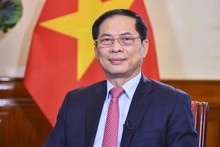 El viceprimer ministro y titular de Relaciones Exteriores de Vietnam, Bui Thanh Son. (Foto: VNA)