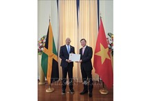 El embajador de Vietnam en Cuba, concurrente en Kingston, Le Quang Long, presenta sus cartas credenciales al Gobernador General de Jamaica, Patrick Allen. (Foto: VNA)