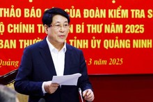 El presidente de Vietnam, Luong Cuong. (Foto: VNA)