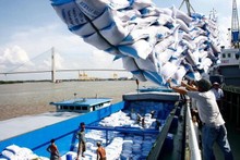 Carga y descarga de arroz para exportación en el puerto de Saigón. (Foto: VNA)