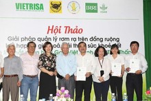 Otorgamiento de certificados de derechos para utilizar la marca de arroz verde vietnamita de bajas emisiones a empresas calificadas. (Foto: baochinhphu.vn)