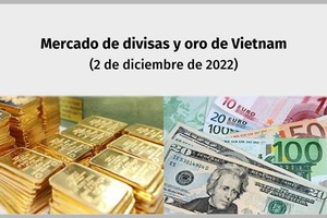 Infografía: Mercado de divisas y oro de Vietnam - 2 de diciembre de 2022