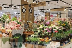 Productos vietnamitas en un supermercado en Japón (Fotografía: VNA)