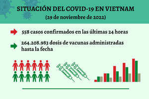 Infografía: Actualización sobre la situación del Covid-19 en Vietnam - 29 de noviembre de 2022