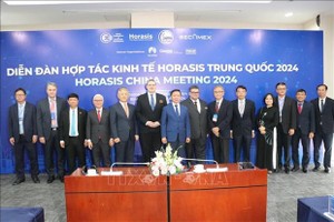 El viceprimer ministro vietnamita Tran Hong Ha y la delegación empresarial de Europa (Foto: VNA) 