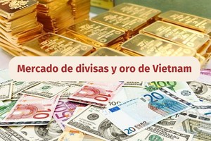 Infografía: Mercado de divisas y oro de Vietnam - 26 de julio de 2024