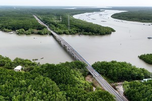 Belleza de carretera a través del bosque de manglares en Ciudad Ho Chi Minh