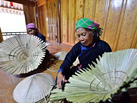 Pueblo étnico Tay mantiene oficio de elaboración de sombrero cónico