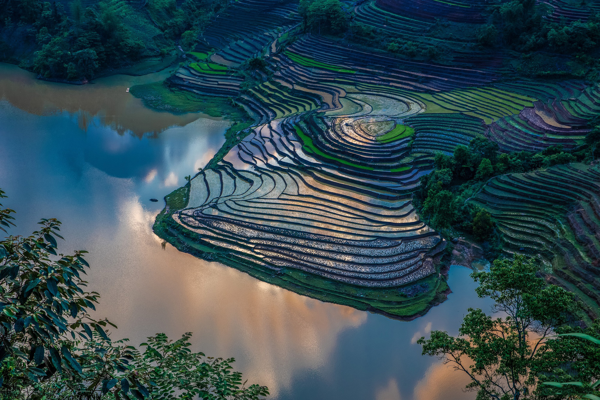 Impresiona belleza de terrazas de arroz inundadas en Bat Xat