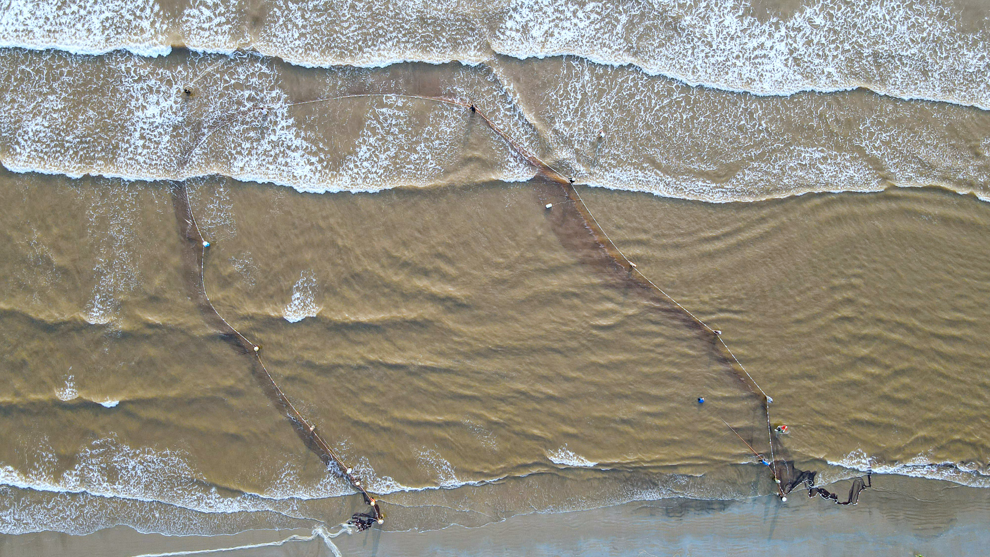 Un grupo de 16 personas en la orilla agarran los dos extremos de la cuerda.