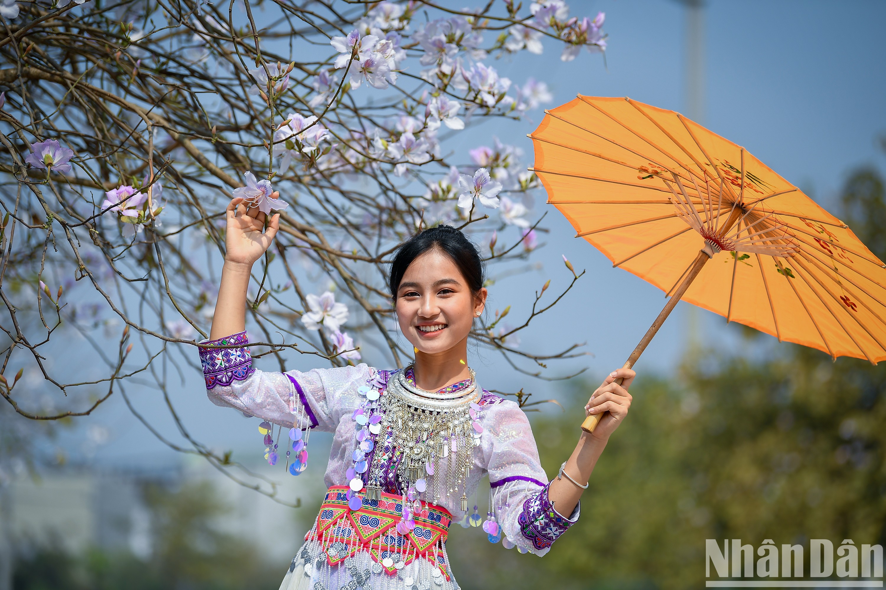 [Foto] Belleza de muchachas del noroeste en temporada de flores de Ban