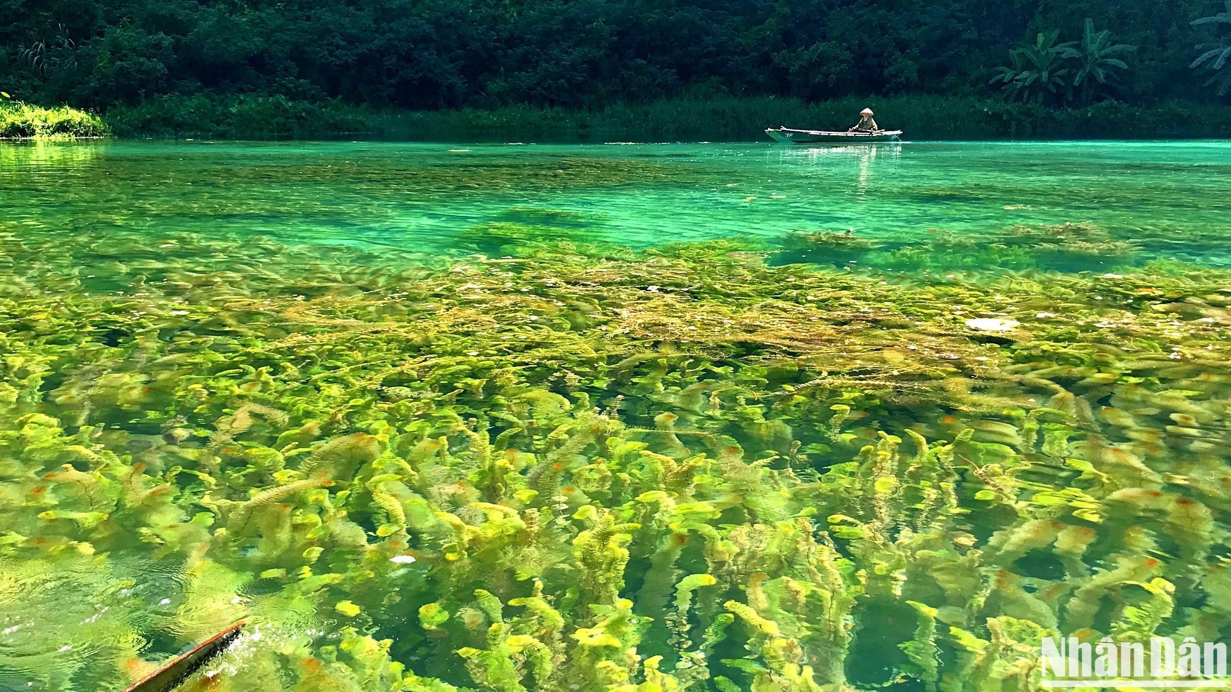 [Foto] Principios de otoño en Trang An