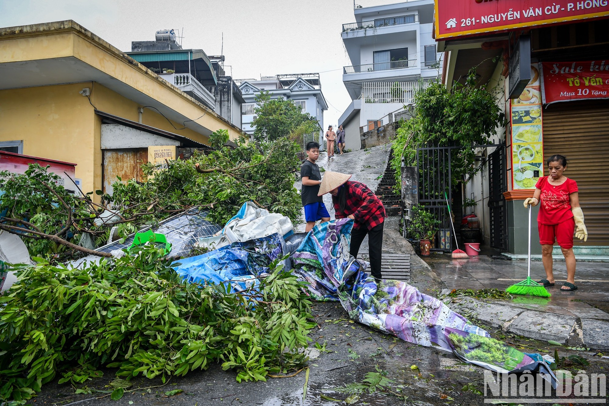 [Foto] Quang Ninh acelera labores para superación de consecuencias de tifón Yagi