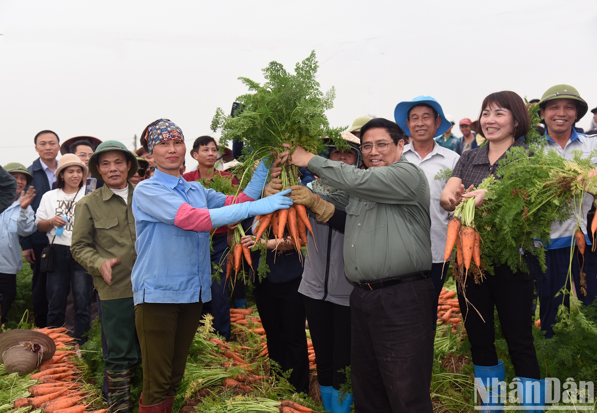 [Foto] Primer ministro visita modelos de producción agrícola de Hai Duong