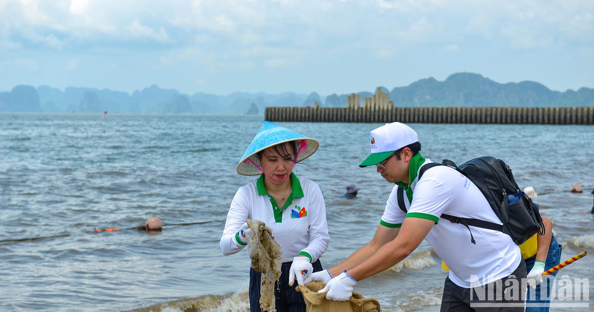 Vietnam-Unión Europea: Unir esfuerzos por un medio ambiente limpio