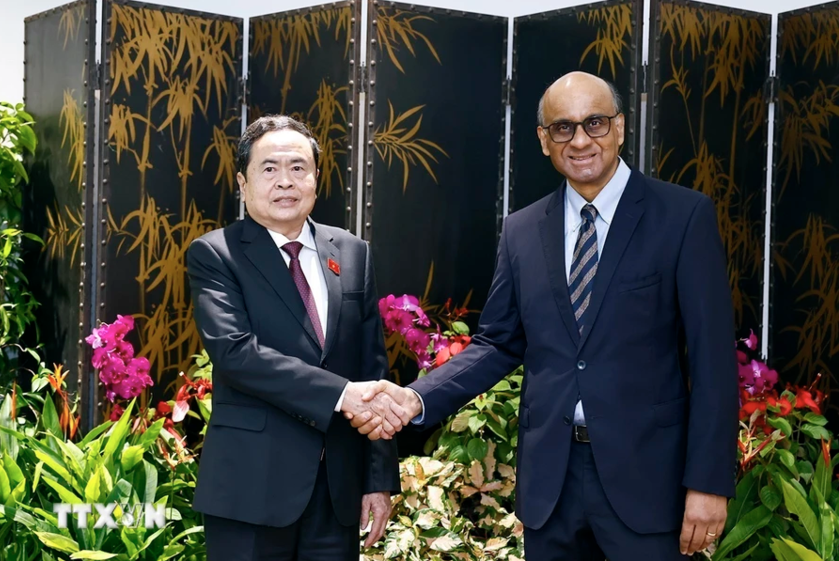 [Foto] Máximo legislador vietnamita realiza visita de cortesía al presidente singapurense 