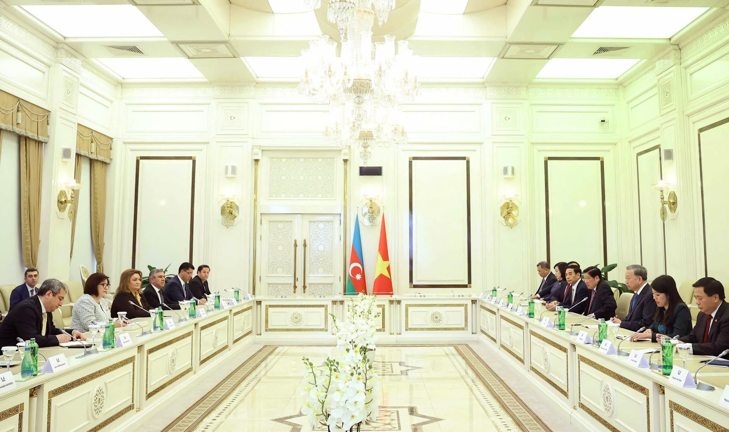 [Foto] Líder partidista vietnamita se reúne con presidenta de Asamblea Nacional de Azerbaiyán