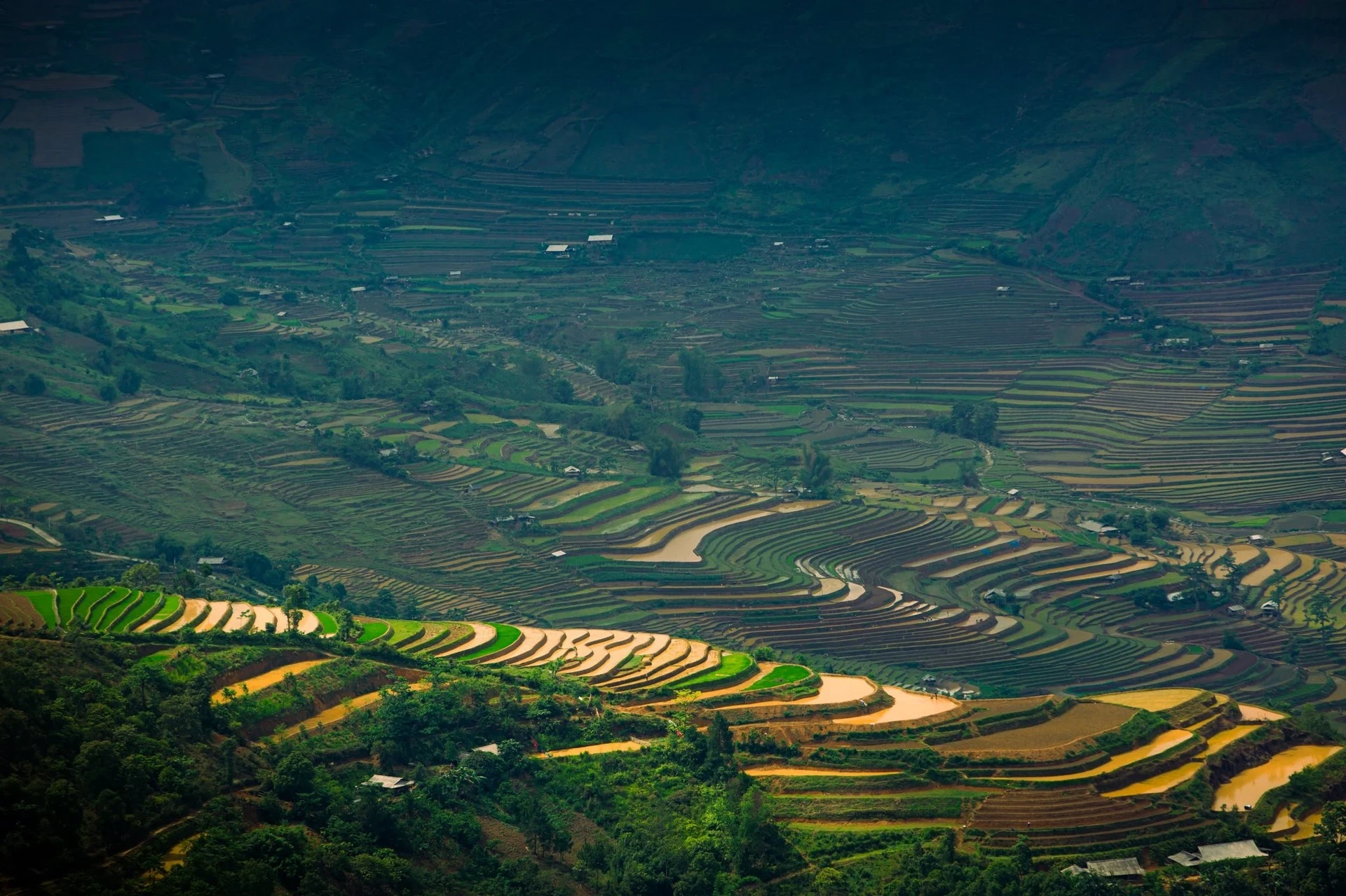 Escena cautivadora en Mu Cang Chai durante la temporada de lluvias