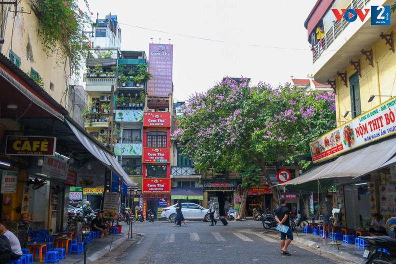 Romântica cor roxa das flores “Bang lang” nas ruas de Hanoi ảnh 9