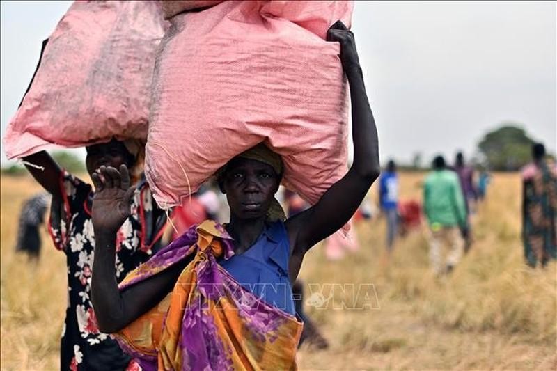 Gente recoge ayuda alimentaria en el condado de Ayod, Sudán del Sur, el 6 de febrero. (Fotografía: AFP/VNA)