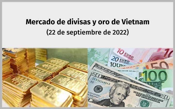 Infografía: Mercado de divisas y oro de Vietnam - 22 de septiembre de 2022
