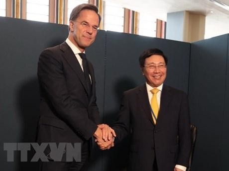 El viceprimer ministro vietnamita Pham Binh Minh se reúne con el primer ministro holandés Mark Rutte. (Fotografía: VNA)