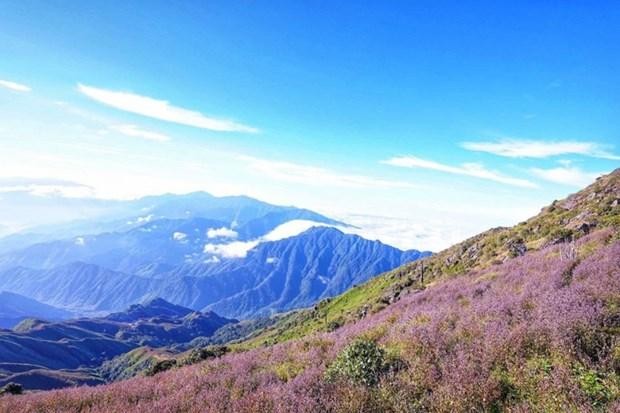 Ta Xua y Ta Chi Nhu están clasificadas entre las 15 montañas más altas de Vietnam (Fotografía: baoyenbai.com.vn)