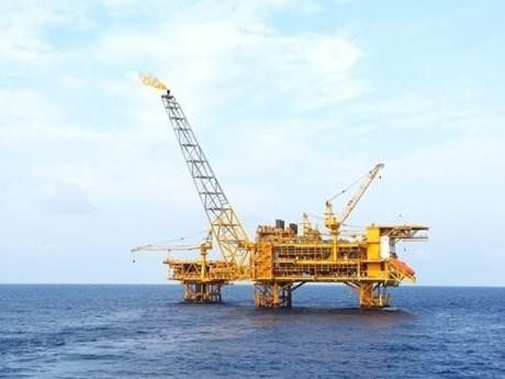 Actividades de explotación de petróleo y gas en el mar de Vietnam. (Fotografía: PVN)