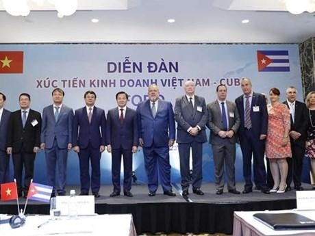 El primer ministro cubano, Manuel Marrero Cruz, y el viceprimer vietnamita Le Minh Khai, junto con los delegados en el evento. (Fotografía: VNA)